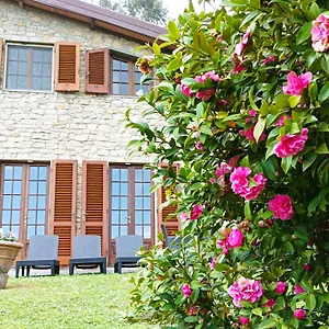 Camelia Tuscany Willa Pescia